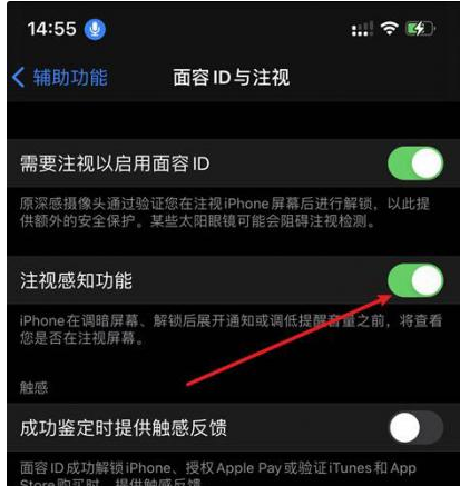德昌苹果14维修网点分享iPhone14注视感知功能有什么用 